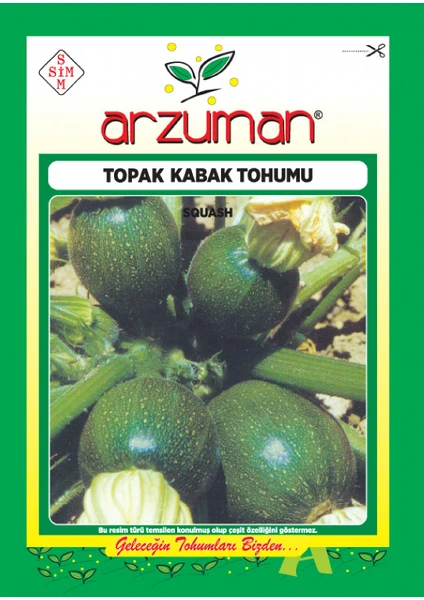 Topak Kabak Tohumu ( 30 Adet Tohum)