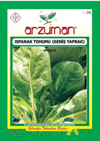 Ispanak Tohumu( Geniş Yaprak) ( 2.500 Adet Tohum)