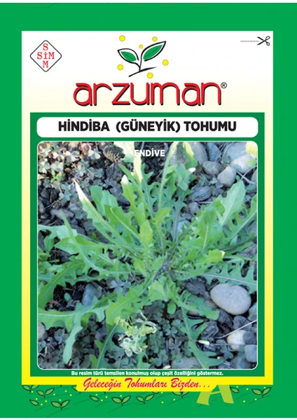 Hindiba ( Güneyik) Tohumu( 5 gr Tohum)