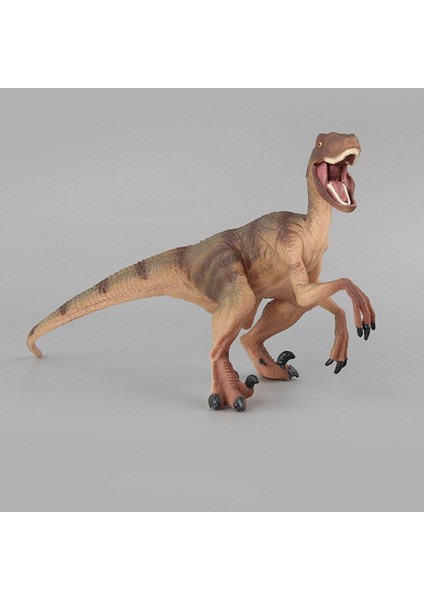 Velociraptor 029 Dinozor Modeli(Yurt Dışından)