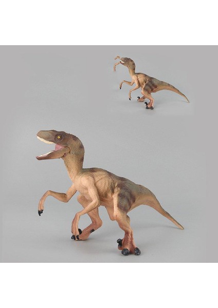 Velociraptor 029 Dinozor Modeli(Yurt Dışından)