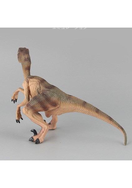 Velociraptor 029 Dinozor Modeli(Yurt Dışından)