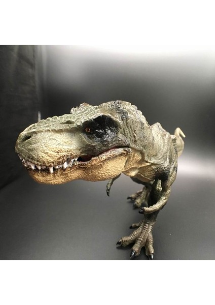2020 Jurassic Tyrannosaurus Rex Dinozor Modeli Büyük Katı Simüle Dinozor Oyuncakları 30X13X5Cm