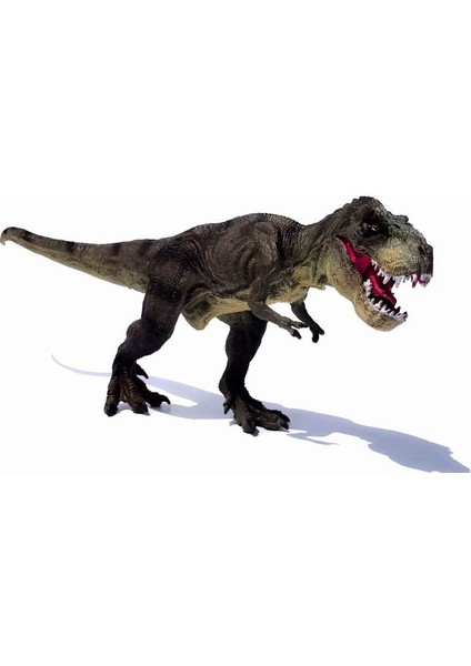 2020 Jurassic Tyrannosaurus Rex Dinozor Modeli Büyük Katı Simüle Dinozor Oyuncakları 30X13X5Cm