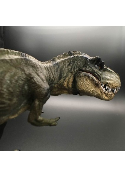 2020 Jurassic Tyrannosaurus Rex Dinozor Modeli Büyük Katı Simüle Dinozor Oyuncakları 30X13X5Cm