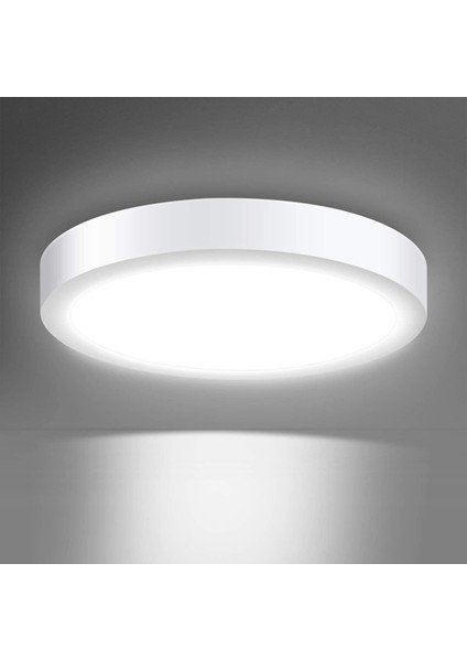 Creyer Modern Yuvarlak 24 W Led Tavan Işıkları, 150W Ampullere Eşdeğer, Ï300Mm, 2000Lm, Ac220-240V, Günışığı Beyaz 6000K, Led Tavan Lambası Fo (Yurt Dışından)