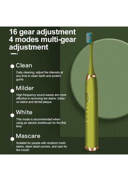 Sonic Elektrikli Diş Fırçası Yükseltilmiş Su Geçirmez Usb Ultrasonik Otomatik Diş Fırçası Yetişkin Beyazlatma Diş Fırçası 4 Modu | Elektrikli Diş Fırçaları (Yurt Dışından)