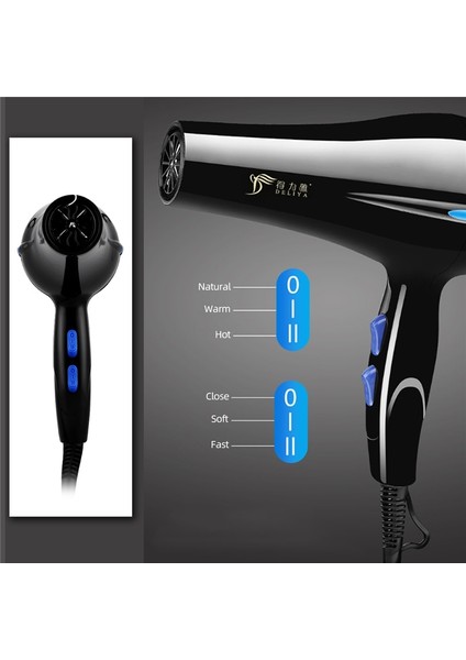 850 W Çok Işlevli Elektrikli Saç Kurutma Makinesi Profesyonel Blower 2 Rüzgar Hızı 3 Isı Ayarı Blow Kurutucu Salon Saç Şekillendirici Aracı 220 V | Saç Kurutucular (Yurt Dışından) fiyatları