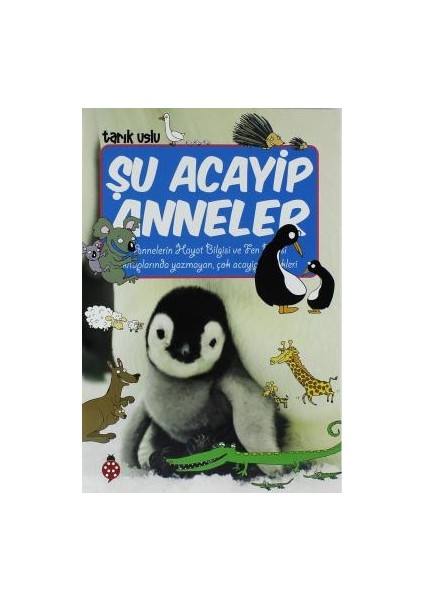 Şu Acayip Anneler