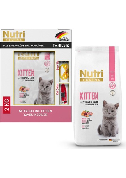 Kitten Tahılsız Yavru Kedi Maması 2 kg