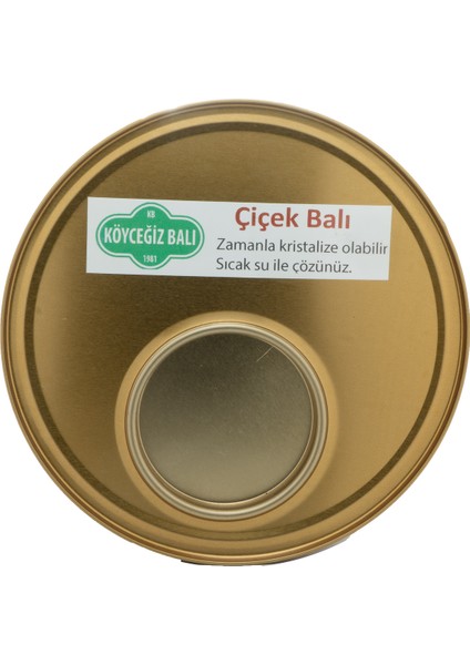 Köyceğiz Balı Çiçek Balı 2850 G Teneke