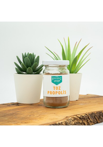 Köyceğiz Yöresel Toz Propolis 50 G Cam Kavanoz