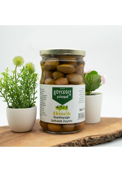 Köyceğiz Yöresel Ekincik Sofralık Zeytin 600 G Cam Kavanoz