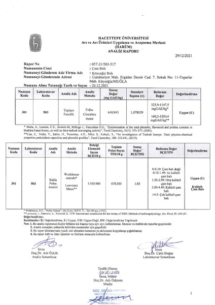 Çam Balı 15 Kg Teneke