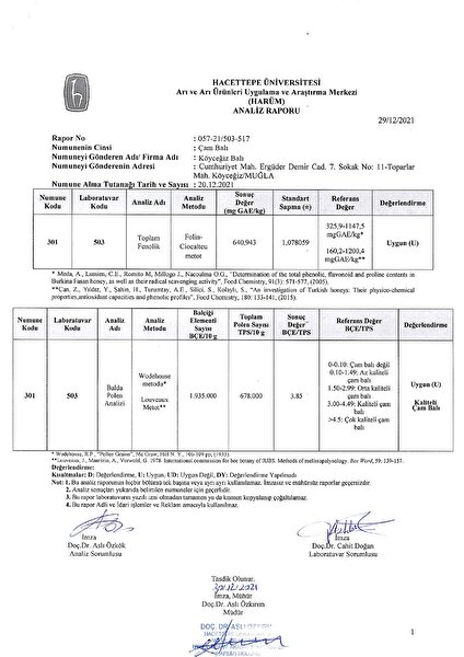 Köyceğiz Balı Çam Balı 850 G Teneke