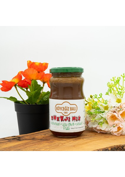 Enerjimix 450 G Cam Kavanoz