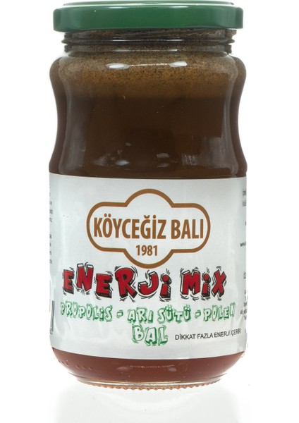 Enerjimix 450 G Cam Kavanoz