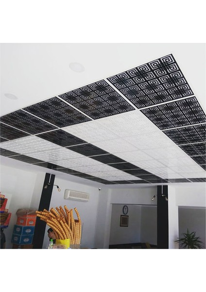 12'li Dekoratif Tavan Paneli Labirent (60X60) Siyah - Beyaz fırsatları