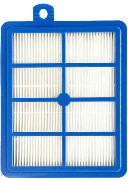 Electrolux Ultraactive El 4300A Hepa Filtre X2 Adet