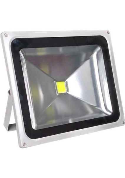 LED Projektör 20 Watt Günışığı Bolled