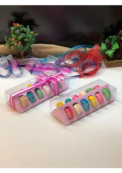 Asetatlı 12 Li Makaron Kutusu Seperatörlü (10 Adet) fırsatları