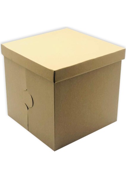 31X31X30 Kraft Pasta Kutusu (10 Adet)