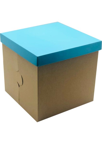 31X31X30 Kraft Pasta Kutusu (10 Adet)