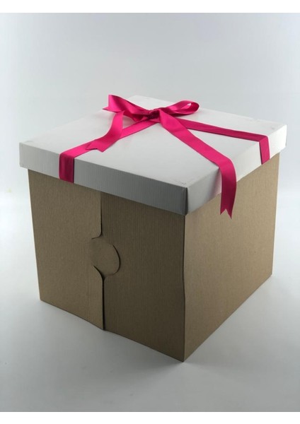 31X31X30 Kraft Pasta Kutusu (10 Adet) fiyatları