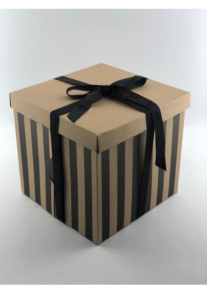 31X31X30 Kraft Pasta Kutusu (10 Adet) fiyatları