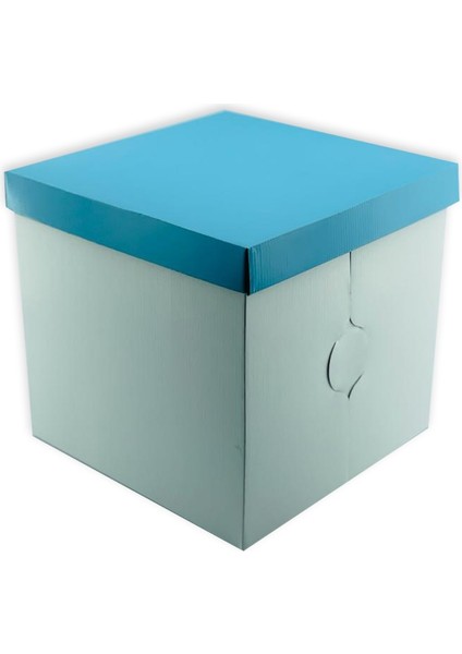 31X31X30 Pasta Kutusu (10 Adet)