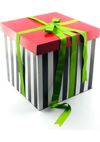 31X31X30 Pasta Kutusu (10 Adet) fiyatları