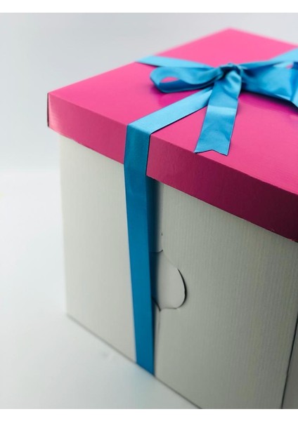 31X31X30 Pasta Kutusu (10 Adet) fiyatları