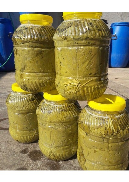 Salamura Yaprak 5 kg