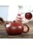 270Ml Yixing Mor Kil Çaydanlıklar Xishi Çay Potu Delik Filtresi Su Isıtıcısı Master El Yapımı Zisha Teaware Dahongpao Otantik | Çaydanlıklar (Yurt Dışından) 2