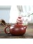 270Ml Yixing Mor Kil Çaydanlıklar Xishi Çay Potu Delik Filtresi Su Isıtıcısı Master El Yapımı Zisha Teaware Dahongpao Otantik | Çaydanlıklar (Yurt Dışından) 3
