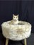 Sofaist Kedi Yatağı, Kedi Evi, Kedi Tırmalaması 4