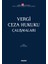 Vergi Ceza Hukuku Çalİşmaları 1