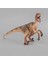 Velociraptor 029 Dinozor Modeli(Yurt Dışından) 1