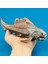 Dinozorlar Dunkleosteus Dinozor Dino Saur Balığı Aksiyon Figürü Modeli 20Cm 1