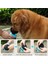 Taşınabilir Kedi Köpek Su Isıtıcısı - Mavi (Yurt Dışından) 4