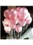 12 Inç Metalik Pembe Balon 20'li 1
