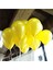 Metalik 12'inç Sarı Balon 50 Adet 1