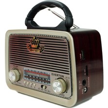 Everton Rt 301 Radyo