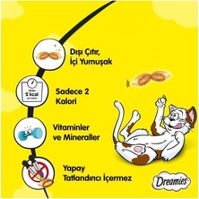Dreamies Kedi Ödül Maması Ördekli 60GR 6'lı Paket