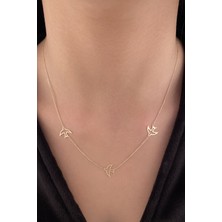 Fiyonk Kuyumculuk 14 Ayar Altın Sıralı Kırlangıç Kolye