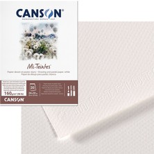 Canson Mı Teıntes Çizim Defteri Beyaz Ton 160 Gram 24 x 32 cm 20 Yaprak