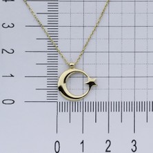 İryum 14K Altın Şanlı Ay Yıldız Kolye 4N31128