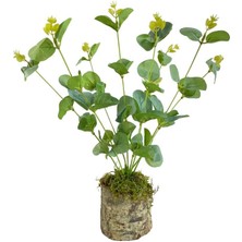 Nettenevime Yapay Çiçek Kütük Saksılı Okaliptus Dekoratif Masa Çiçeği Yeşil