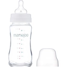 Mamajoo Cam Biberon 240 ml & Yedek Ikili Biberon Emziği No.1 0 Ay+