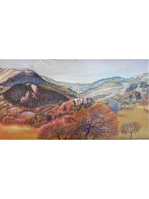 Hüseyin Yüce Görünüm